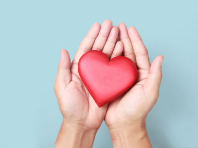 Photo of hands holding a heart for Carolina PT's blog post promoting Physical Therapy for Heart Health